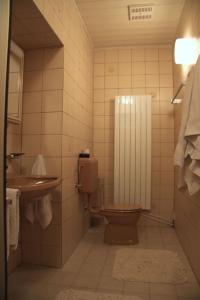 La salle de bains est pourvue de toilettes et d'un lavabo. dans l'établissement Familien-Apartment in kleiner Waldvilla Semmering, 