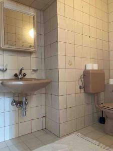 La salle de bains est pourvue d'un lavabo et de toilettes. dans l'établissement Familien-Apartment in kleiner Waldvilla Semmering, 