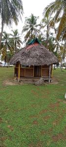 a hut with a straw roof with palm trees at Cabaña privada en las islas de Guna Yala Isla icodub in Achoertupo