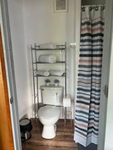 a bathroom with a toilet and a shower curtain at Small, Private Beach House & Pool in Vega Baja