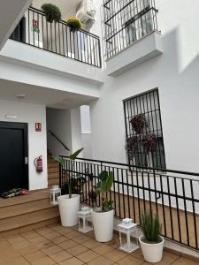 einen Balkon mit Topfpflanzen in einem Gebäude in der Unterkunft SHERRY SUITES VIII Apartamentos PARKING GRATUITO in Jerez de la Frontera