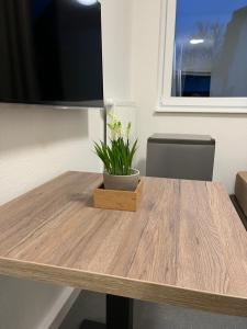 a wooden table with a potted plant on top of it at Longhouse Aparthotel in Dreieich