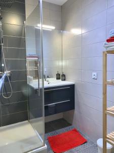 La salle de bains est pourvue d'une douche et d'un lavabo. dans l'établissement Appartement cosy, à Lyon