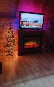 a fireplace with a television and a christmas tree at Vikendica Mimiena in Račić