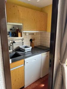 uma pequena cozinha com armários de madeira e um lavatório em Arve et Giffre Samoens 1600 em Samoëns
