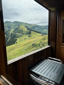 a window in a train looking out at a green field at Arve et Giffre Samoens 1600 in Samoëns