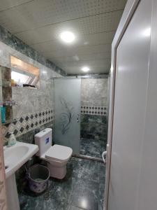 a bathroom with a shower and a toilet and a sink at Lenkeran Seaside in Lankaran