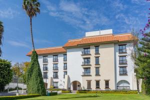 a building with a palm tree in front of it at Hotel Flamingo Inn in Querétaro