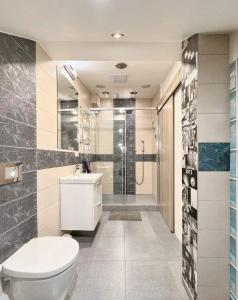 W łazience znajduje się toaleta, umywalka i prysznic. w obiekcie Apartmán Amici w Karlowych Warach