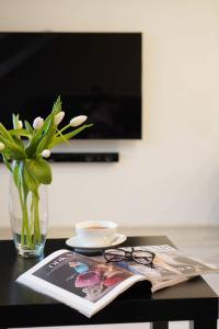 TV a/nebo společenská místnost v ubytování Apartmán Amici