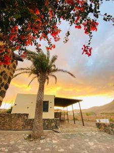 a palm tree in front of a house with a building at Erbania Heritage, naturally in Puerto del Rosario