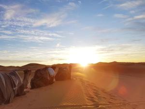 Photo de la galerie de l'établissement Les Roches Desert Camp, à Merzouga