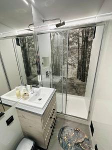 a bathroom with a shower and a white sink at Warsaw City Center Rooms in Warsaw