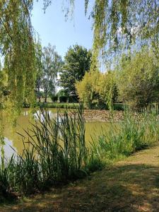 un parc avec un étang, de l'herbe et des arbres dans l'établissement Comme à la maison prés des châteaux de la Loire, à Feings