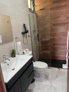 een badkamer met een wastafel, een toilet en een douche bij Residencial Santo Amaro in Tarrafal