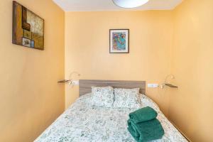 una camera con letto e cuscino verde di Penthouse in Old Town, 100m from the beach a Fuengirola