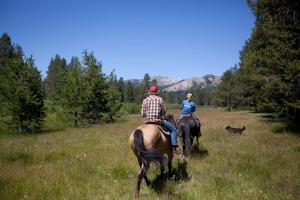 two people riding horses in a field with a dog at St Bernard at Tahoe Donner Remodeled 3BR - Private Hot Tub and Gym and Pool Access in Truckee