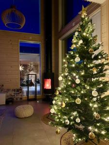 羅瓦涅米的住宿－Villa Golden House，房间里的圣诞树和灯