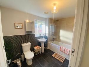 a bathroom with a toilet and a sink at Number 2, Spacious Rooms, Near Ironbridge! in Telford