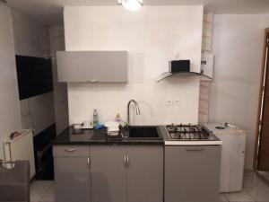 a kitchen with a sink and a stove top oven at Appartement Cosy proche Colmar in Andolsheim