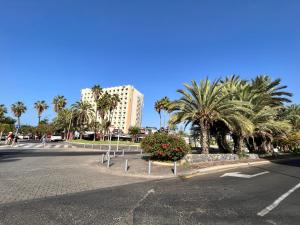 an empty street with palm trees and a building at Las Piteras in Playa de las Americas