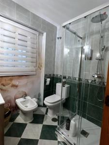 a bathroom with a toilet and a shower and a sink at Casa Centro Fuengirola in Fuengirola +7 photos
