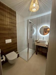 a bathroom with a toilet and a sink and a mirror at Jolie maison avec courette in Bourges