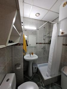 a bathroom with a sink and a toilet and a shower at Ramonda in Belgrade