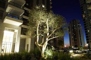 a tree in front of a building at night at Waves Project in Acre