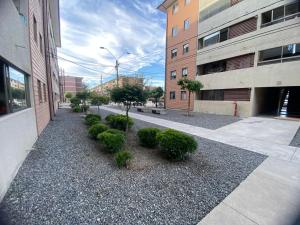 une cour avec des buissons au milieu d'un bâtiment dans l'établissement Apartamento centrico, à Curicó