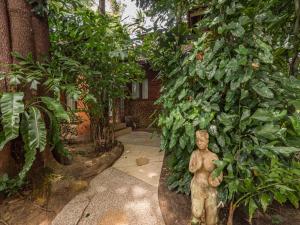 蘇梅島的住宿－Натуральные виллы в тропическом саду，花园中种有树木的雕像
