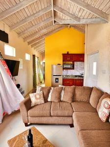 a living room with a brown couch and a kitchen at Cozy Modern Upstairs 2 Bed A/C Apt Near 2 Everything in Saint Philip