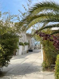 an arbor with trees and plants on a sidewalk at labotanica_casalounge in Cesenatico