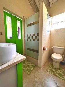 ein grünes Bad mit einem WC und einem Waschbecken in der Unterkunft Cozy Modern Upstairs 2 Bed A/C Apt Near 2 Everything in Saint Philip