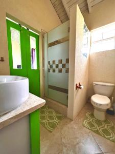 a green bathroom with a toilet and a sink at Cozy Modern Upstairs 2 Bed A/C Apt Near 2 Everything in Saint Philip