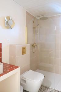 a bathroom with a toilet and a shower at Appartement cosy sur la route des vins d'Alsace in Dambach-la-Ville