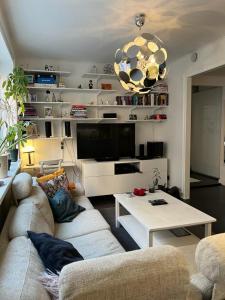 TV a/nebo společenská místnost v ubytování Apartment in the middle of So-Fo, Södermalm, 67sqm