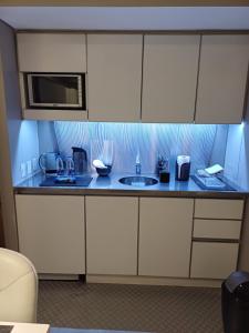 uma cozinha com um lavatório e um micro-ondas em Estudio VIP en Recoleta em Buenos Aires