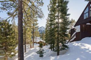 NEW LISTING! Panoramic Peaks at Alpine Meadows - Ski Shuttle to Lifts - Fireplace - Newly updated! om vinteren