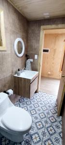 a bathroom with a toilet and a sink and a mirror at Casa Rayen Puerto Varas in Puerto Varas