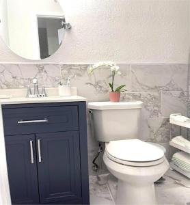 La salle de bains est pourvue de toilettes, d'un lavabo et d'un miroir. dans l'établissement Green Castle Apartment in Tampa Near Airport and Busch Gardens, à Tampa