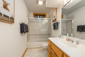Koupelna v ubytování Tree Haus by Tahoe Getaways - Unique Pet-Friendly Tahoe Donner Home w EV & HOA Pool & Beach