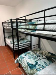 a room with two bunk beds in a room at St Kilda Accommodation in Melbourne