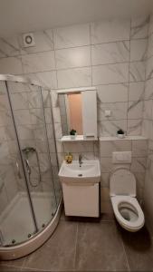 a bathroom with a toilet and a shower and a sink at Apartman Kosmos in Banja Luka