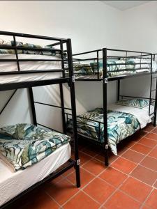 two bunk beds sitting in a room with a floor at St Kilda Accommodation in Melbourne
