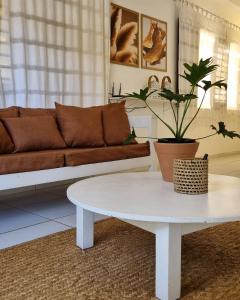 uma sala de estar com um sofá e uma mesa de centro em Vivenda Dias em Pipa