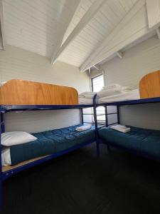 a room with two bunk beds and a window at Shelly Beach Holiday Park in The Entrance