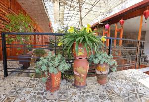 Fotografie z fotogalerie ubytování Dang Khoa Garden Inn Homestay v destinaci Sa Pa