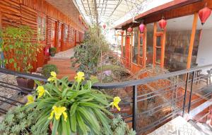 Fotografie z fotogalerie ubytování Dang Khoa Garden Inn Homestay v destinaci Sa Pa