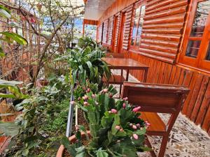 Zahrada ubytování Dang Khoa Garden Inn Homestay